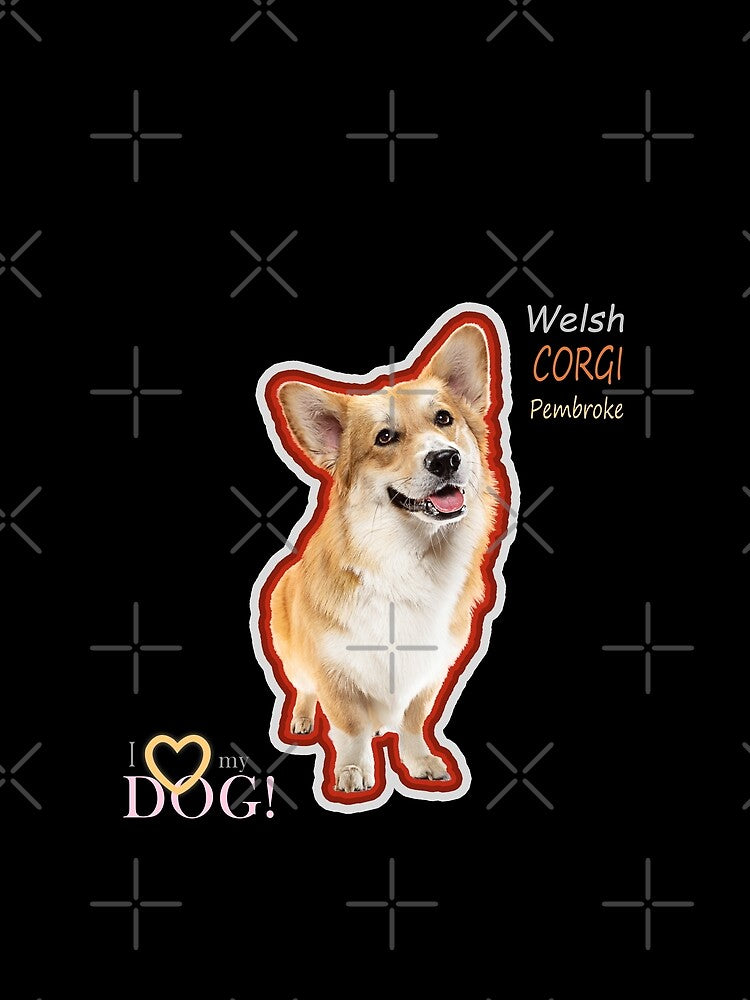 So cute welsh corgi by Ali K. Alobaidi