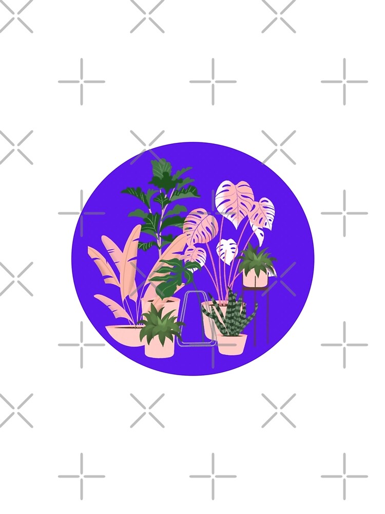 Houseplants by princesssomo21
