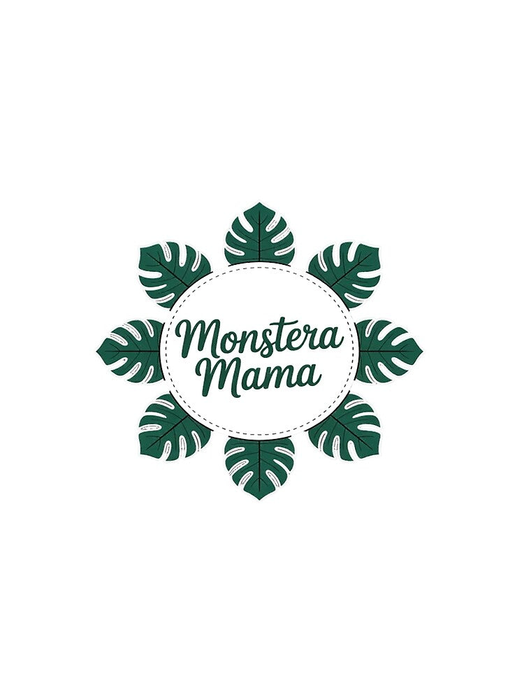 Monstera leaves Houseplant Indoor plant Florist by Ikwalima