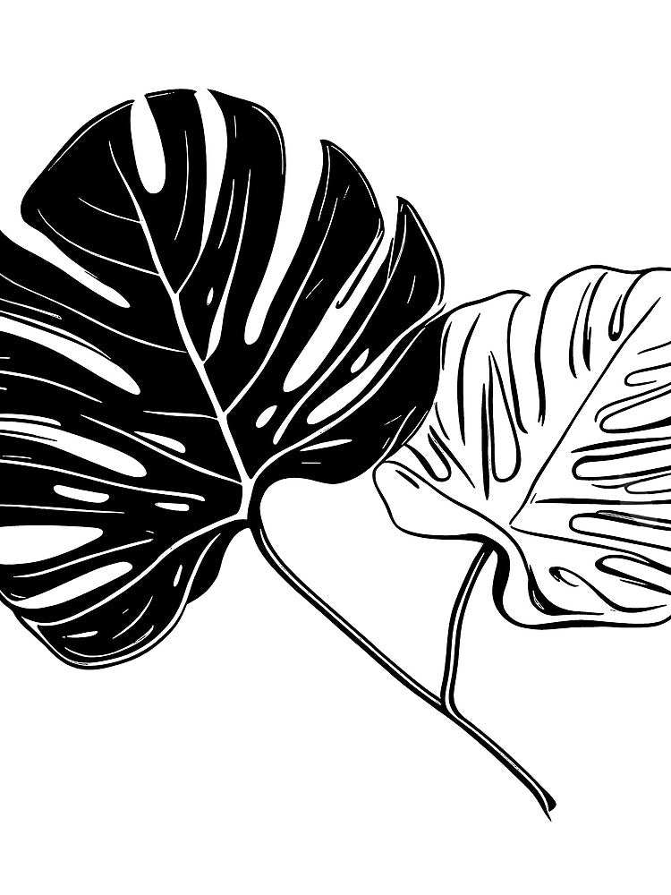 Monstera Leaf by SievesWeaves