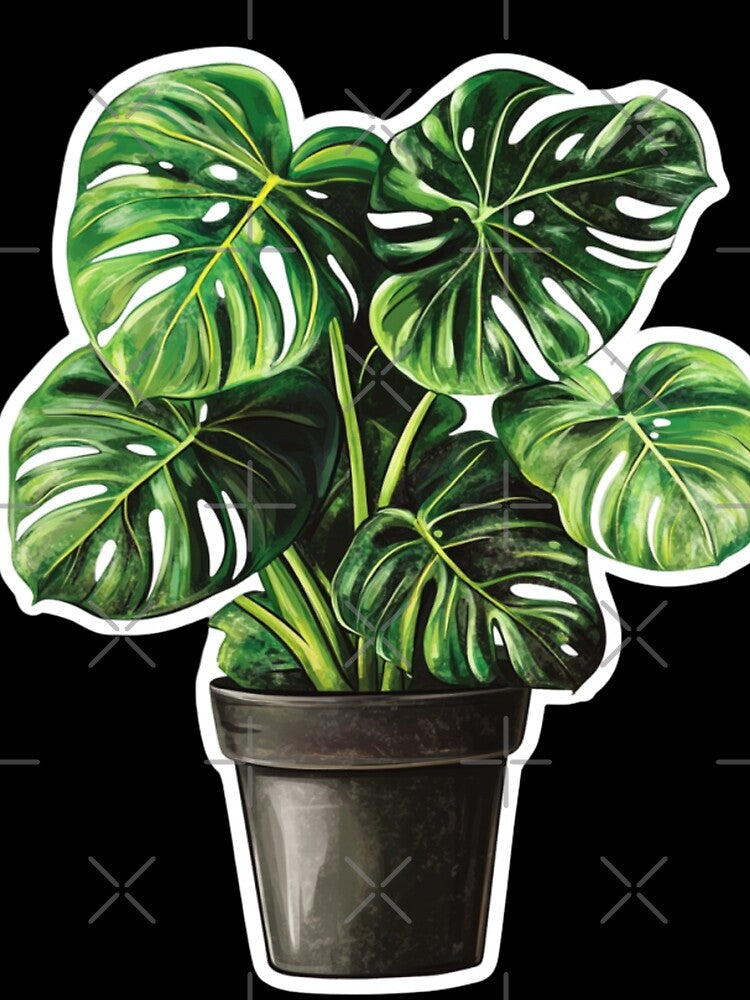 Monstera Plant A1 by Kleonchik