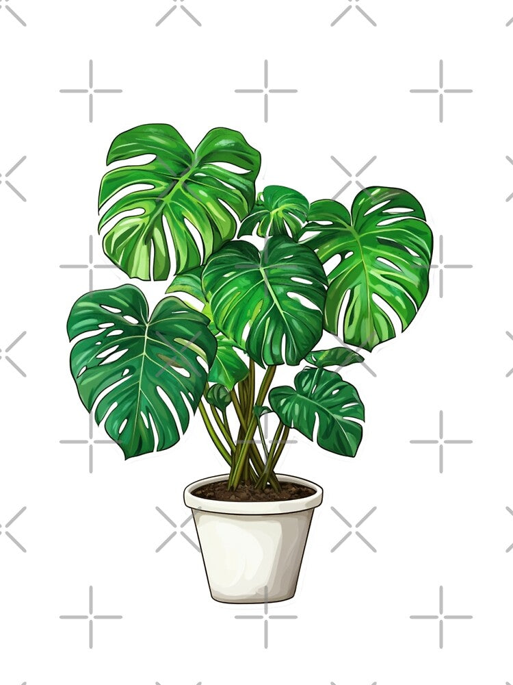 Plant Friends Monstera by Kleonchik