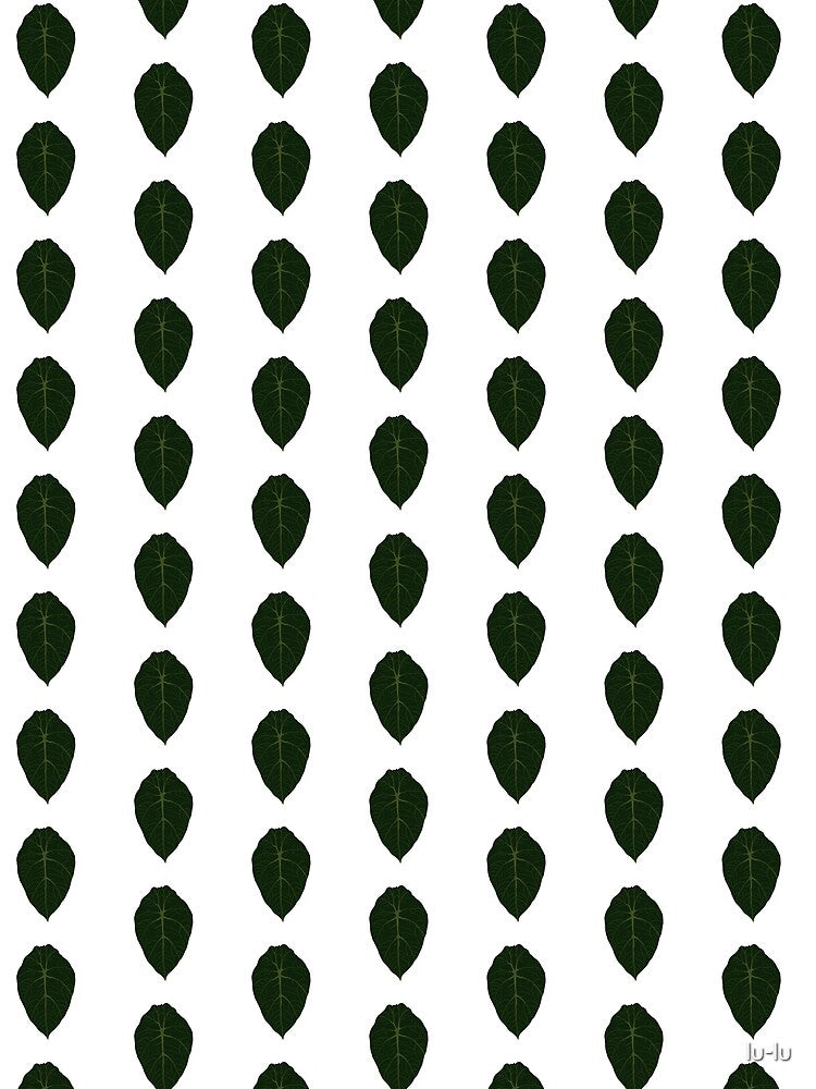 Alocasia black velvet by lu-lu