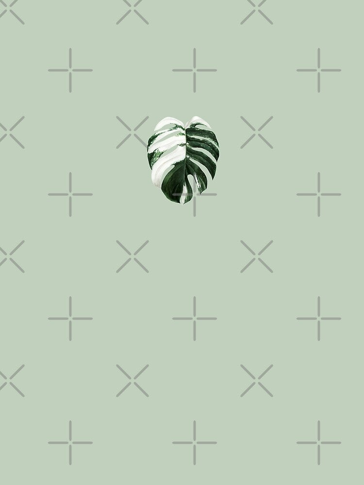 Monstera Deliciosa Albo Variegata by mooneko