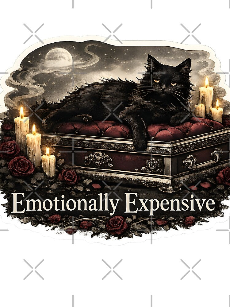 Emotionally Expensive Black Cat Gothic Fashion Aesthetic Dark Humor Artwork by StickyGuys