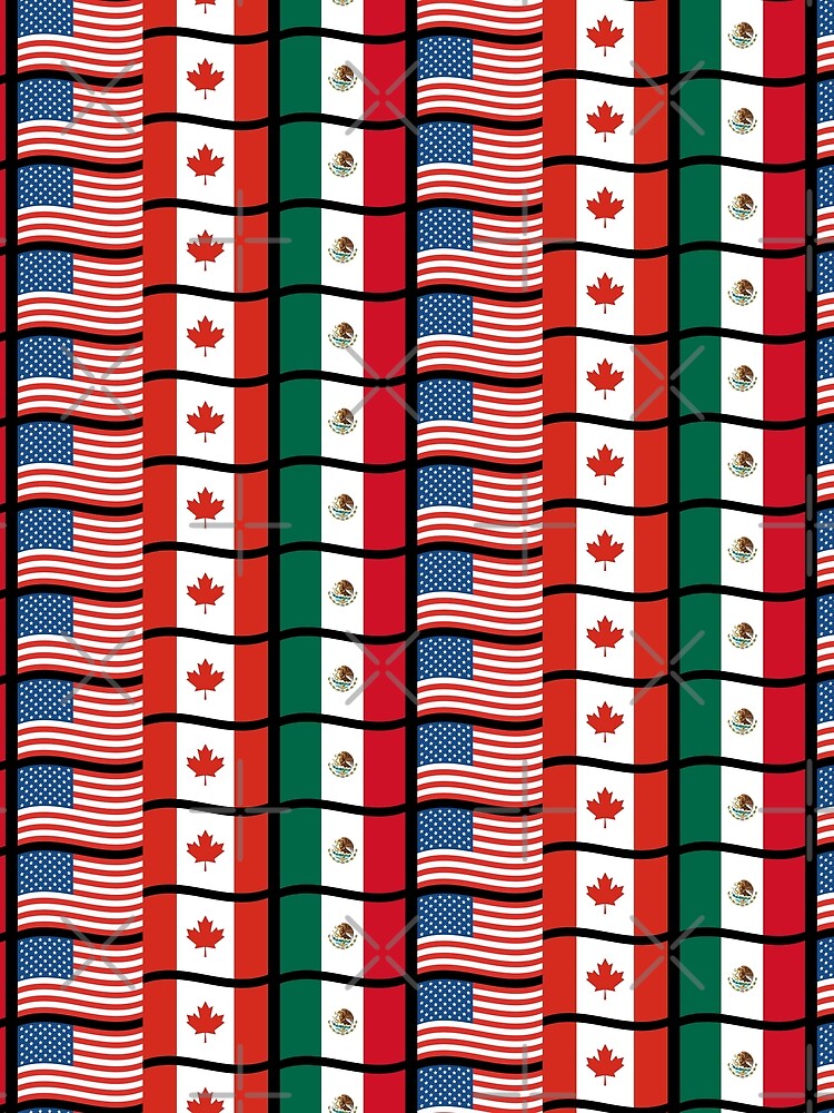 North American Flag - International Football by Wolagno