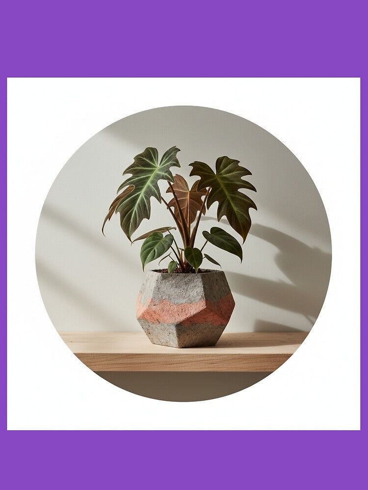 Plant Parent Probs: Funny Gifts for Your Urban Jungle Life by EdCraftProjects