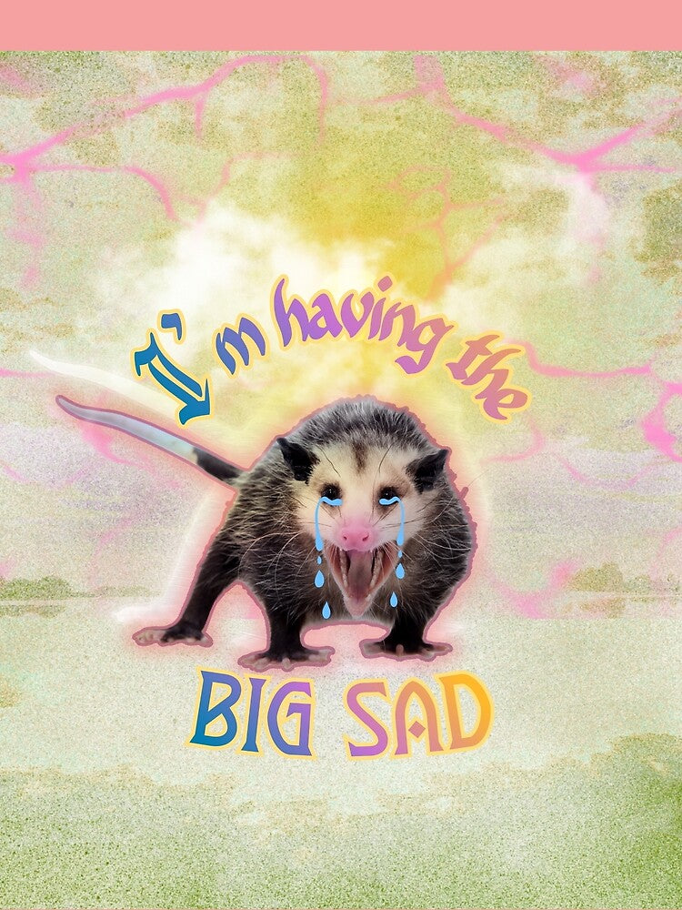 Opossum Big SAD trash energy by mooncakekaro