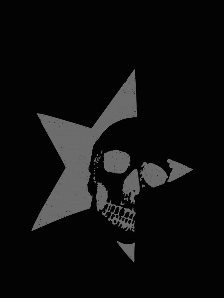 Vintage Emo Skull Goth Star Grunge Graphic by SchowalterWalla