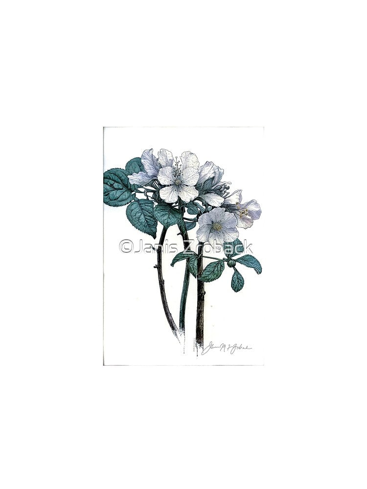Spring Flowers by ©Janis Zroback