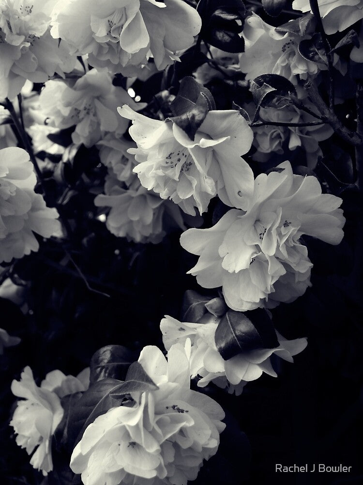 Camellia Tree by Rachel J Bowler