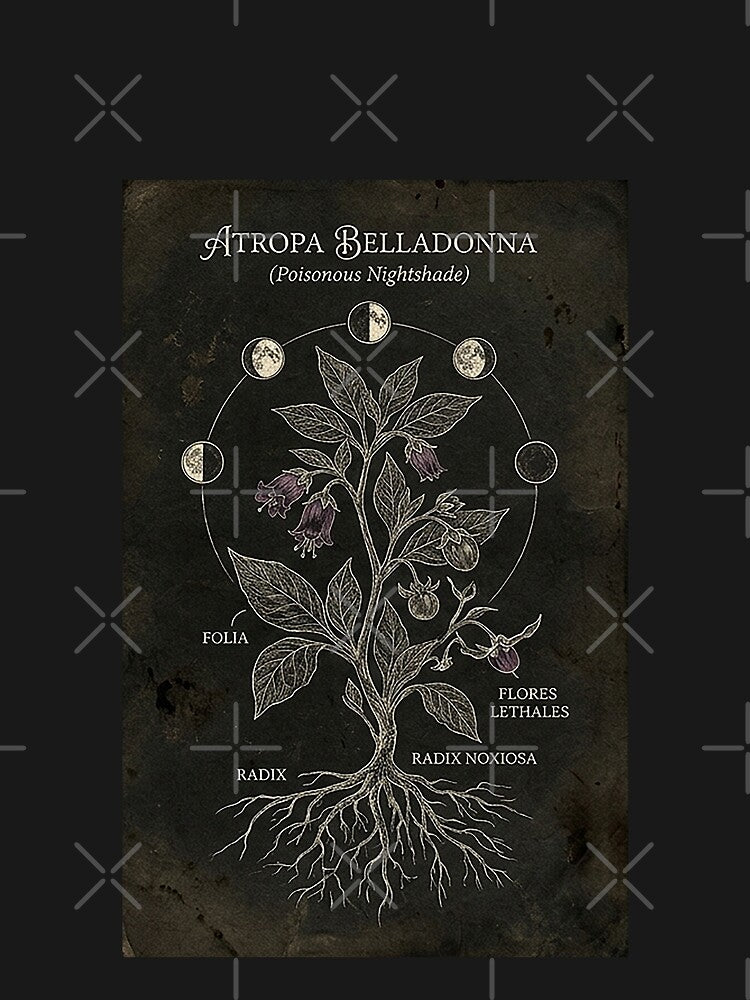 Vintage Belladonna Botanical Moon Phase Illustration by rygenr8