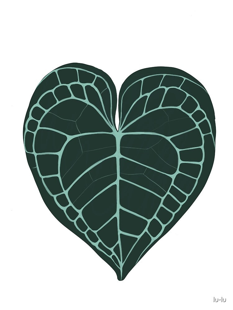 Anthurium leaf heart by lu-lu