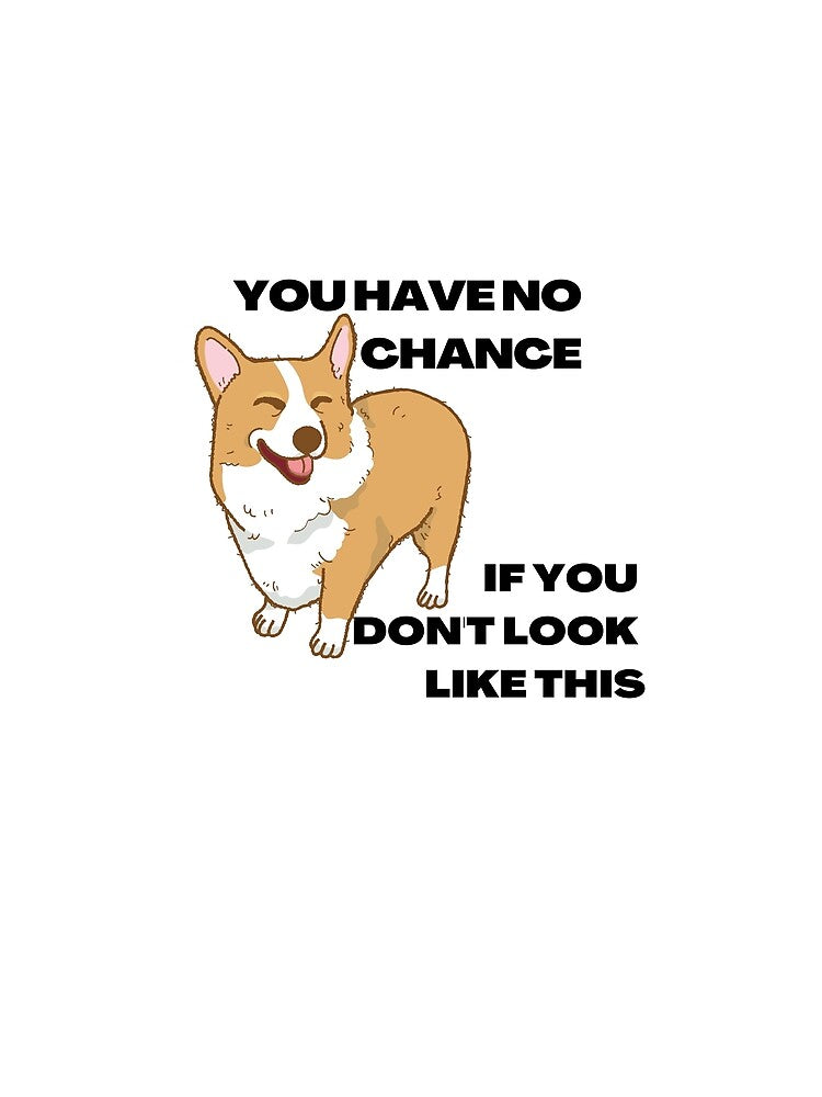 You have no chance, if you don t look like corgi by T-Look