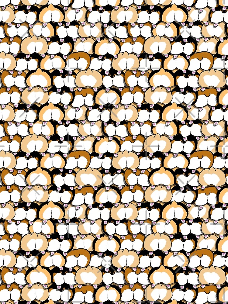 corgi butts! by B0red
