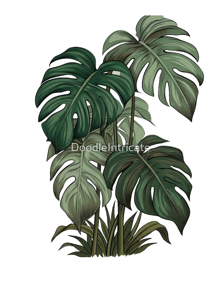 Monstera Deliciosa Tropical Botanical Illustration by DoodleIntricate