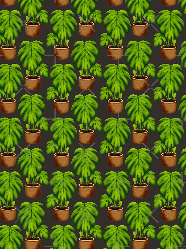 Monstera Houseplant by Kraina