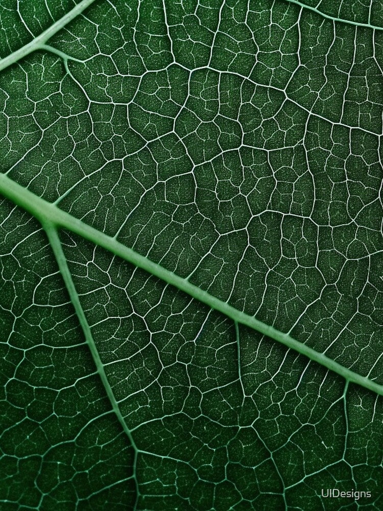 Green Leaf Texture by UlDesigns