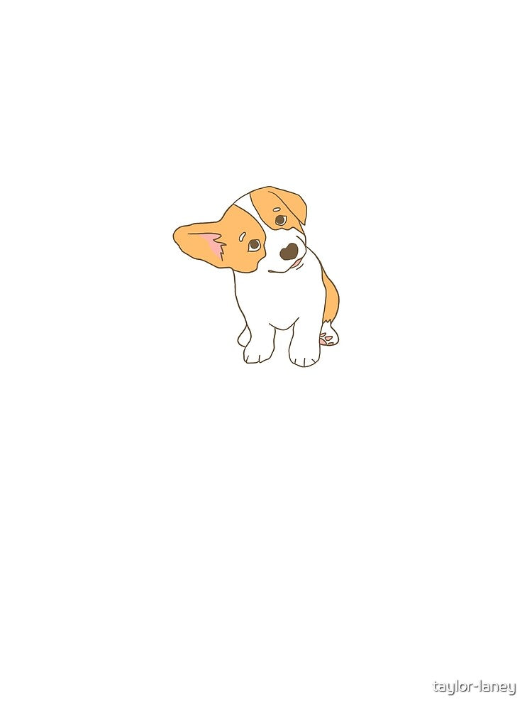 Cute corgi head tilt by taylor-laney