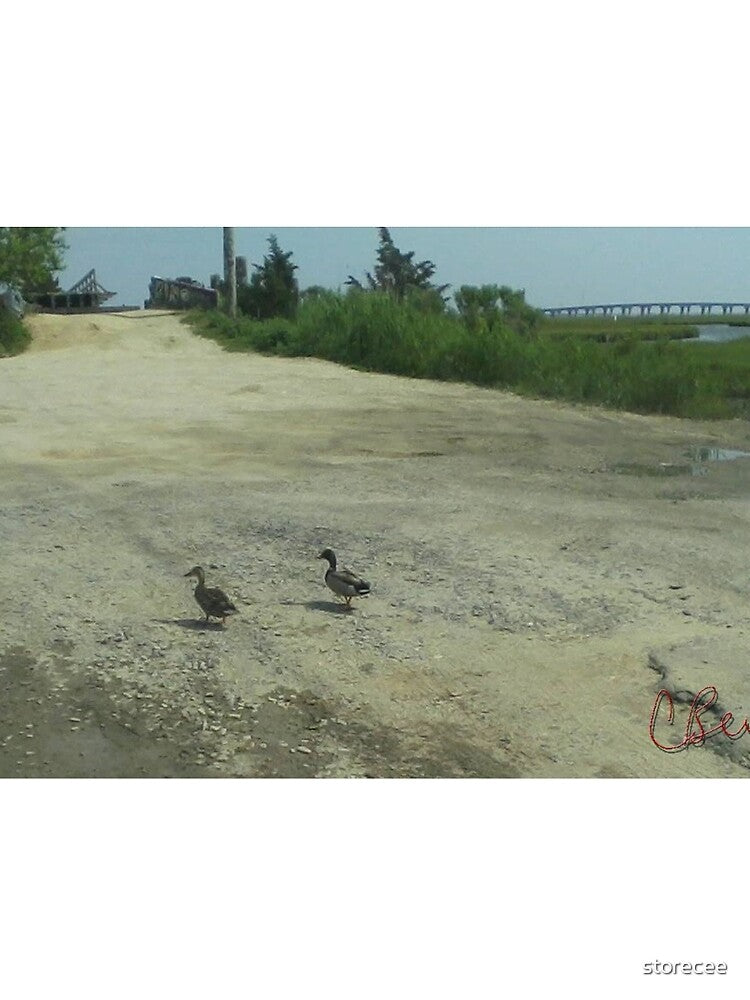 Duck Couple by storecee
