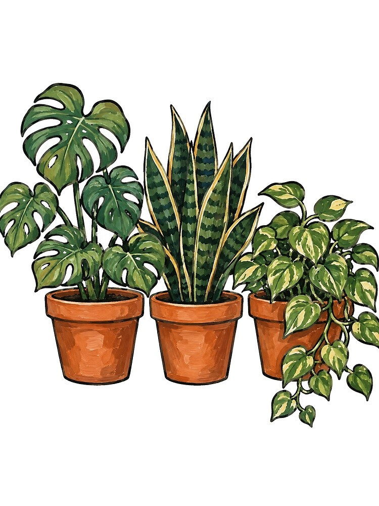 Cozy Houseplant Trio Monstera Snake Plant Pothos by eignvalue