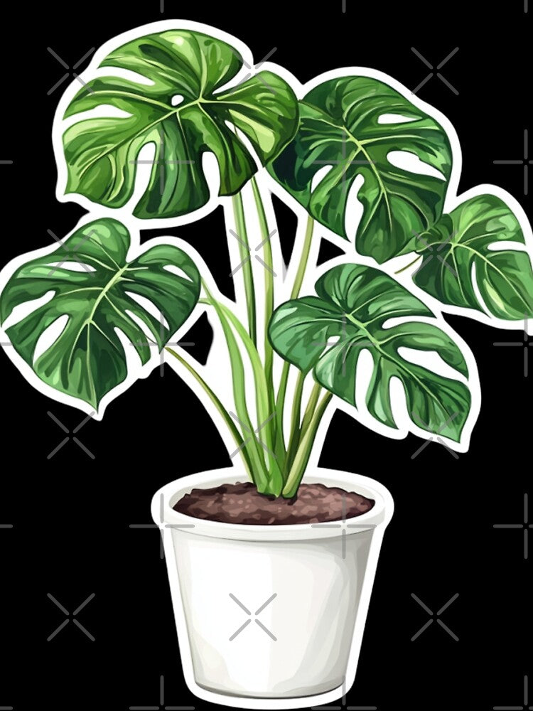 Monstera Plant by Kleonchik