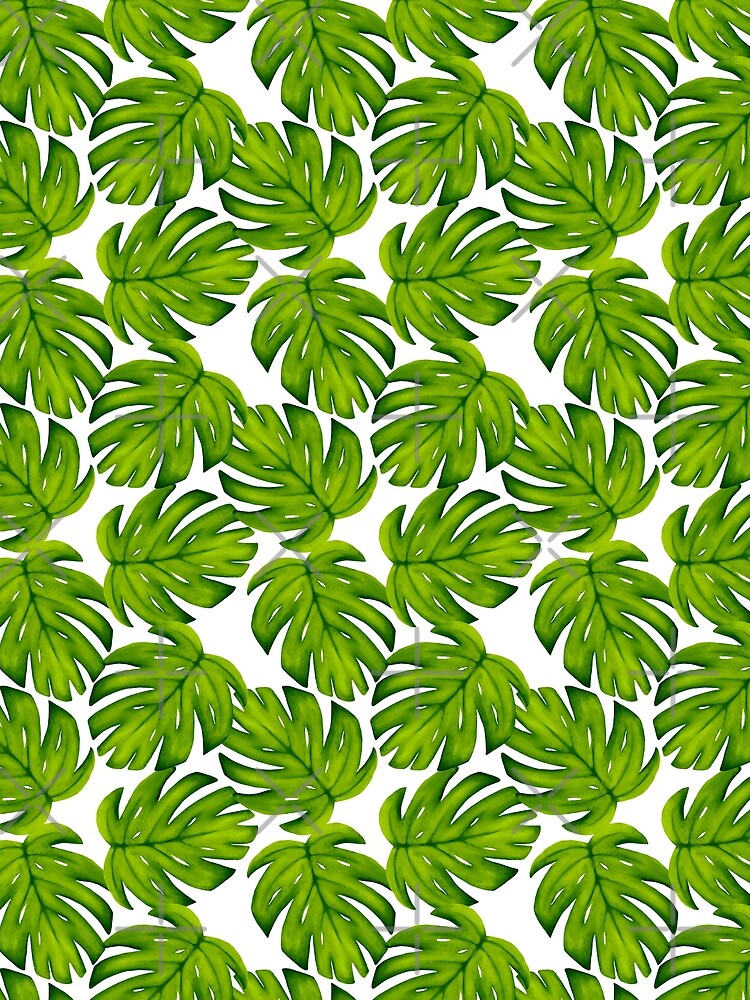 Monstera Deliciosa Green Leaf Pattern by Kraina