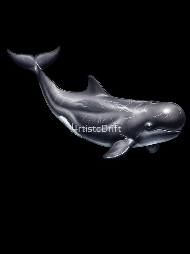 Pilot Whale by 4rtistcDrift
