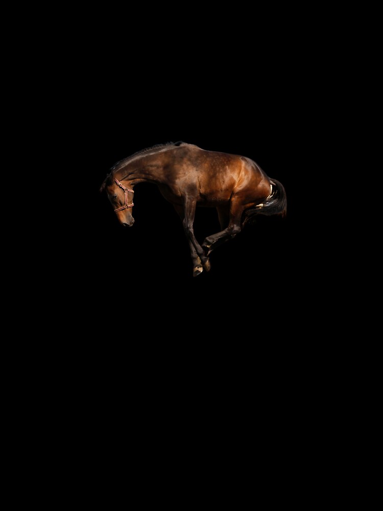 Crazy Chaotic Horse by bubblesjpeg