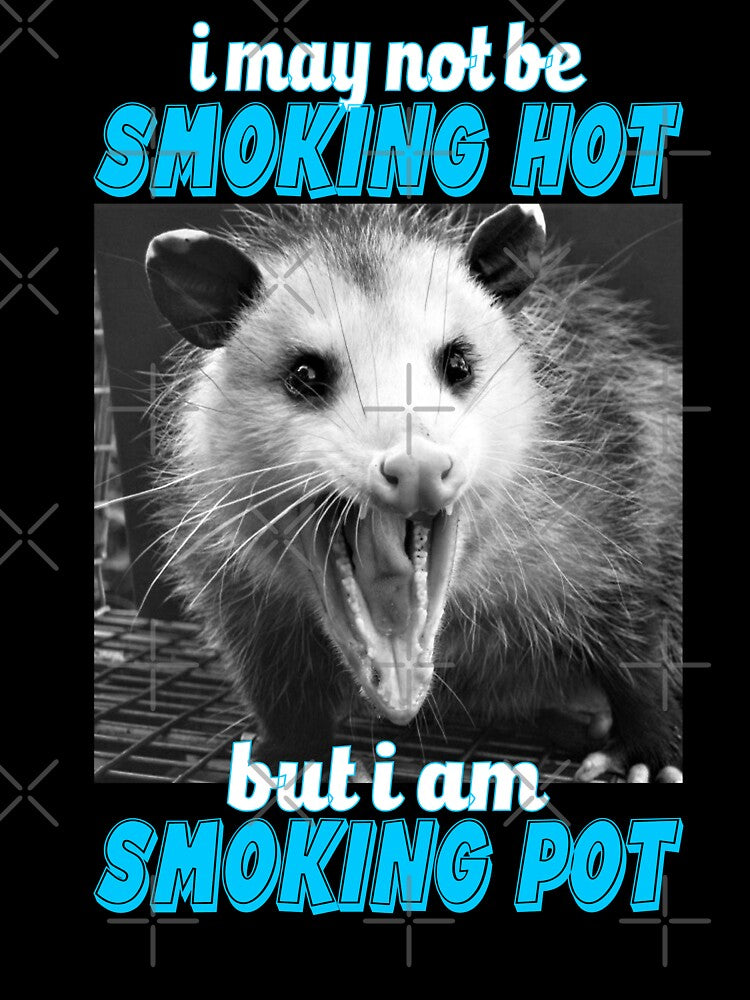 I May Not Be Smoking Hot But Smoking Pot Funny Opossum by Liberty Loom  Designs