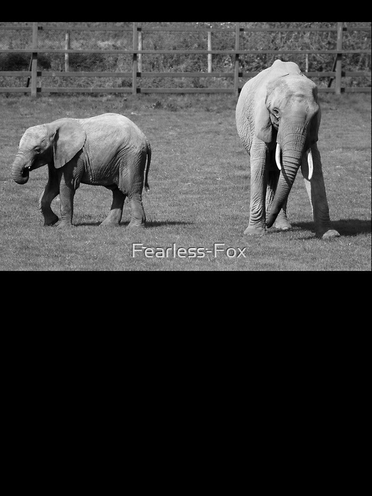 Infant Elephant by Fearless-Fox