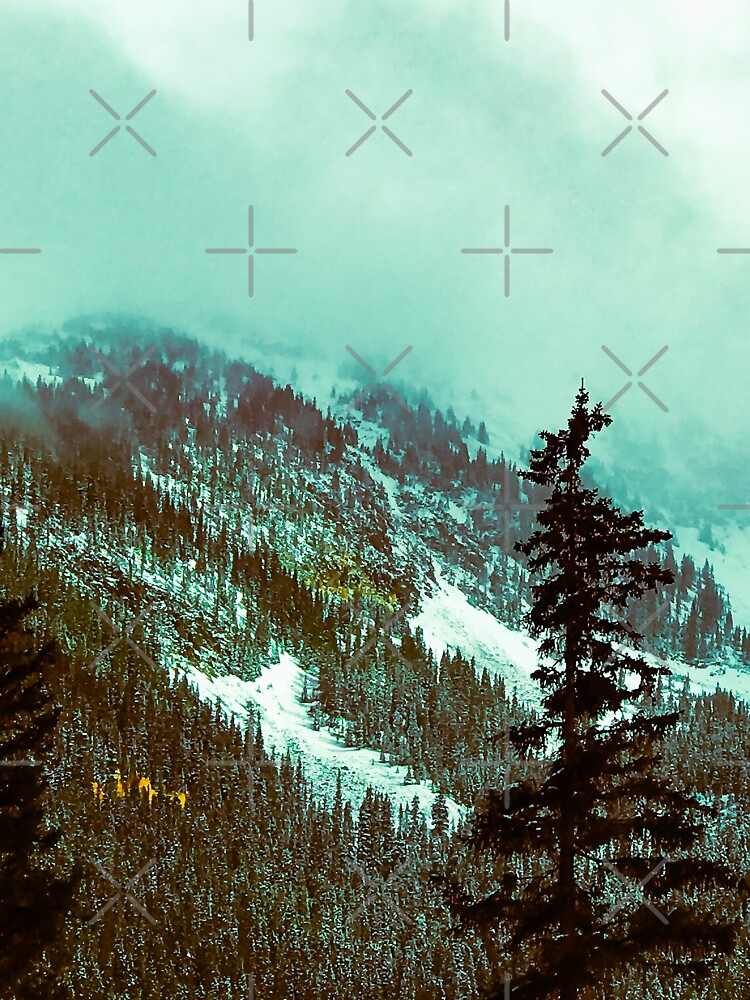 Winter scene  -  Where Autumn Meets Winter – Colorado Rockies in September Snow | Hands Off Our Parks & Protect Sacred Spaces by aadventures
