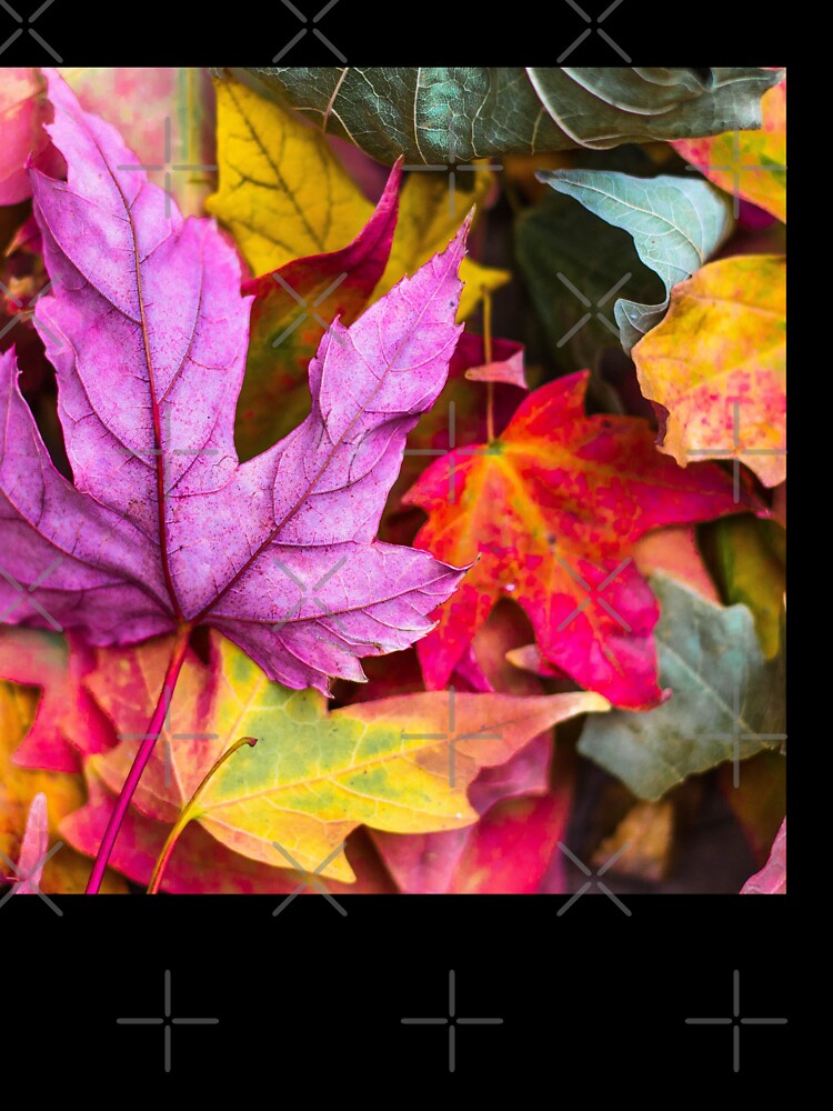 BEAUTIFUL FALL LEAVES by DEHLINSTORE