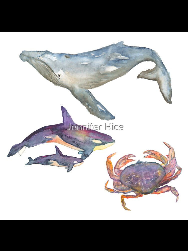 Puget Sound Animals by BlueDoorStudio