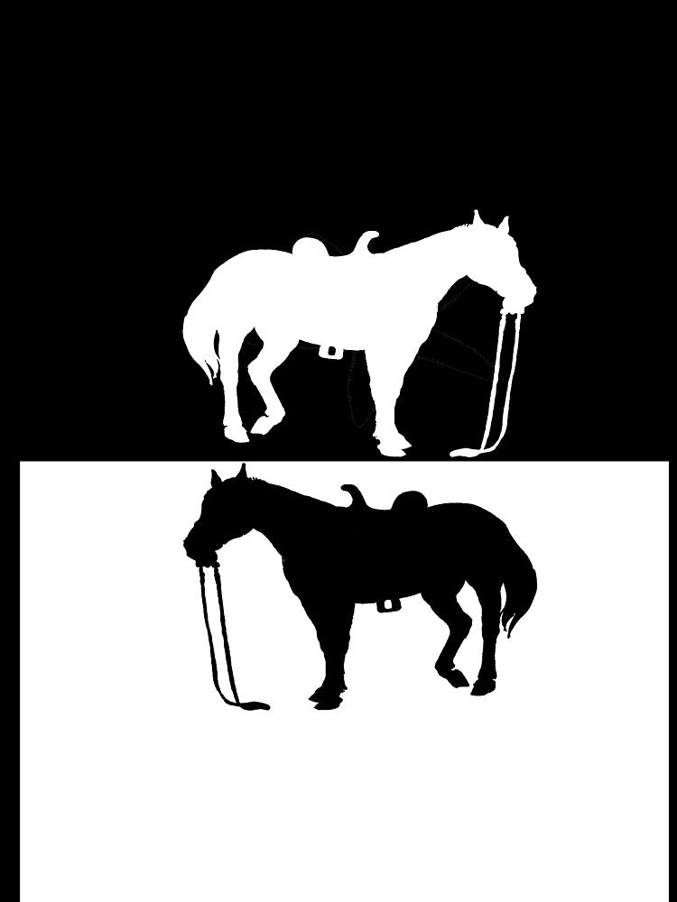 Horse by DelirusFurittus