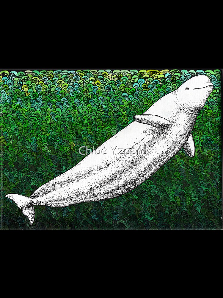 Beluga whale in the ocean by chloeyzoard