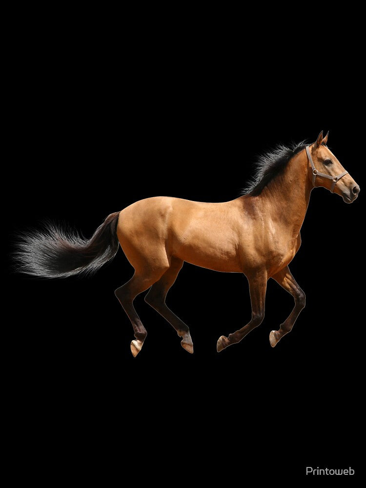 Great Horse Shirt/Horse Clothing/Horse Accessories by Printoweb