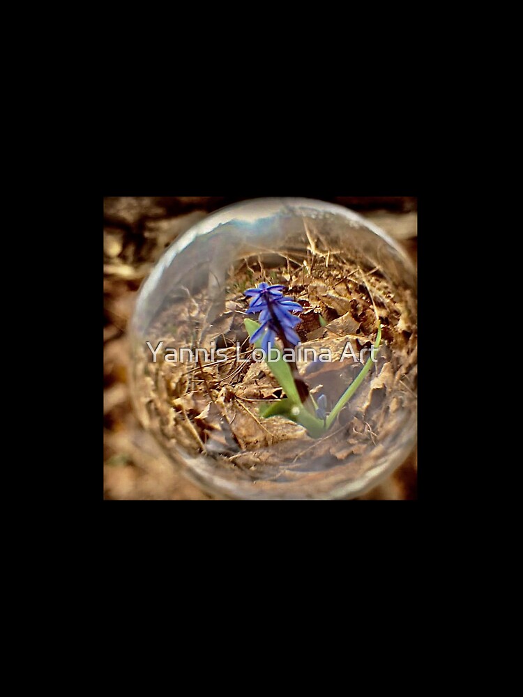 SPRING IS HERE BY YANNIS LOBAINA by Yannis Lobaina Art