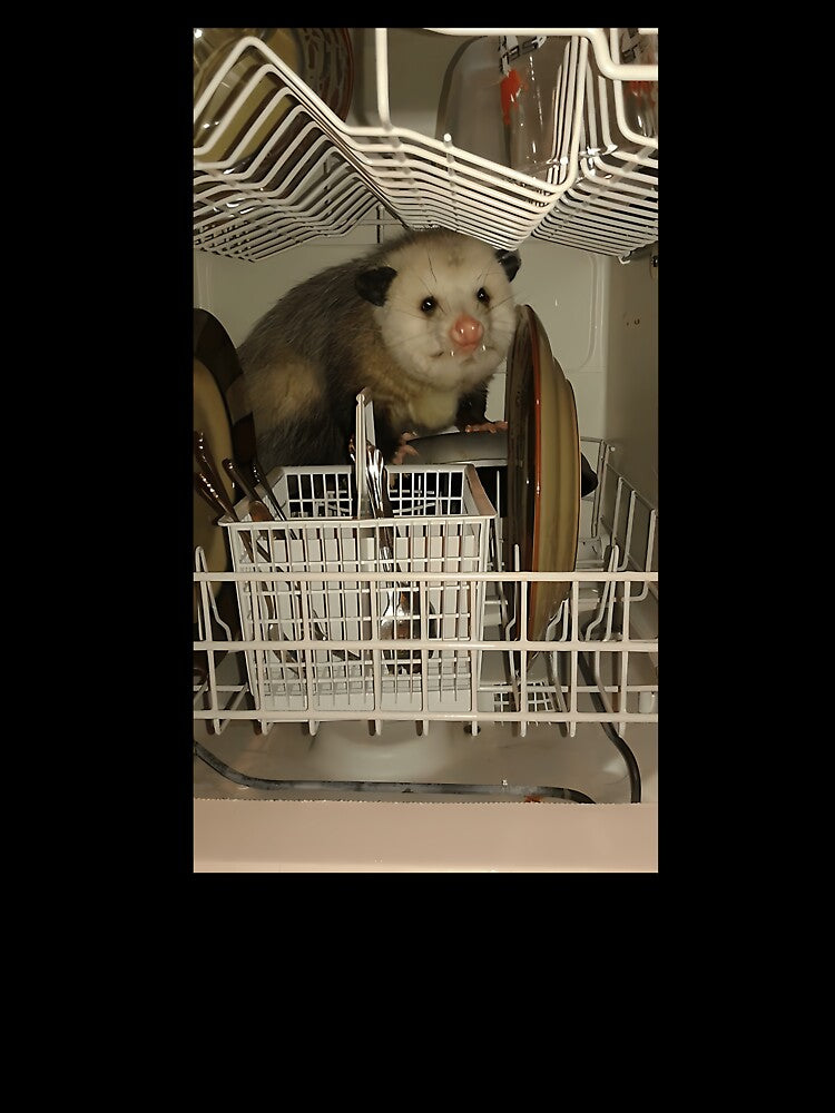 Dishwasher Possum 1 by Eversoles