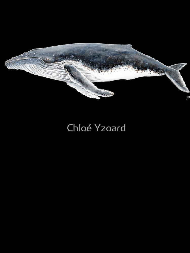 Humpback whale Megaptera novaeangliae by chloeyzoard
