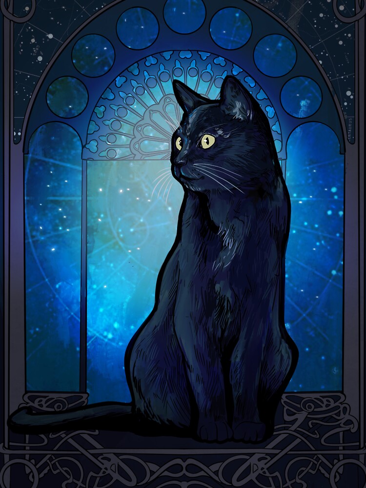 Black cat by jeannineM