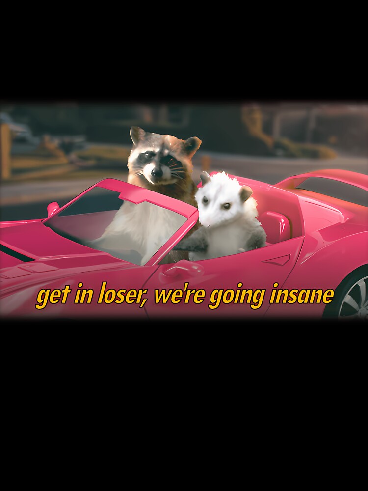 Get In Loser We'Re Going Insane Raccoon Possum Word Art - Film Quote Version by Kaleighcormack
