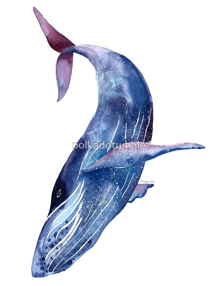 Whale art, watercolor whale, blue whale, purple whale by polkadotwhale
