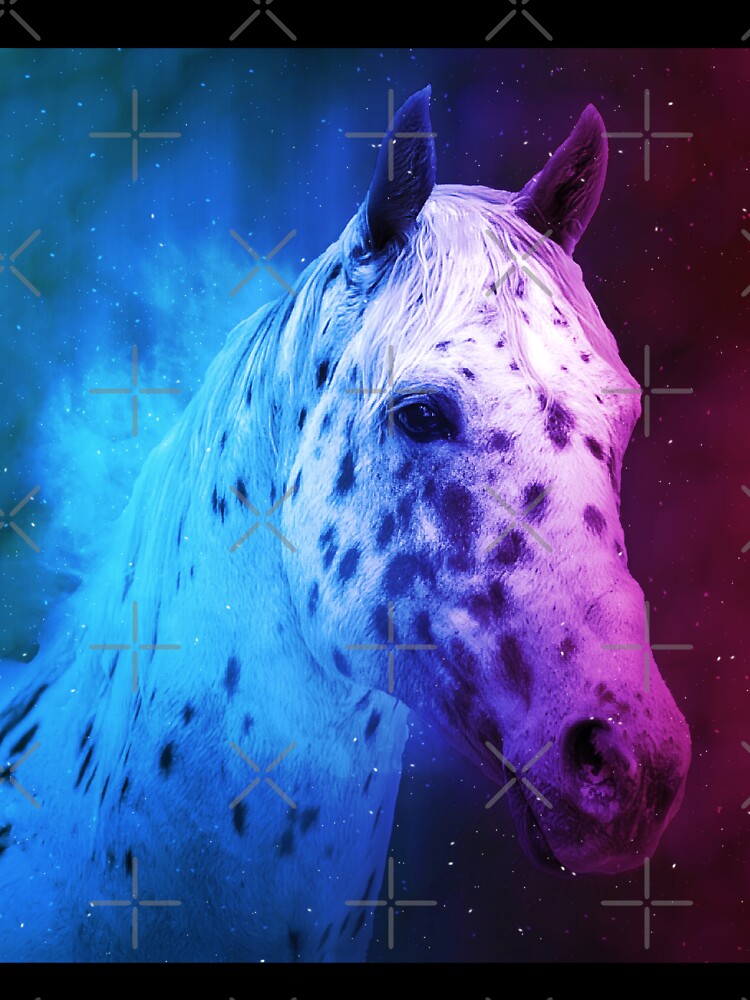 Appaloosa horse close up portrait in blue and violet by NickoPrints