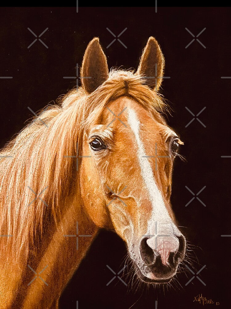 blond red horse by NathBros
