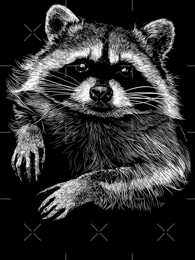 racoon by sibosssr