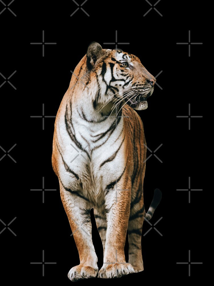 Wild Tiger (Black) by FilipeFerreira