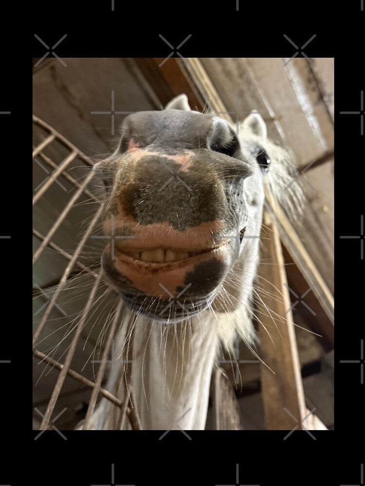 Smiling Pippen by ErinBrieArt