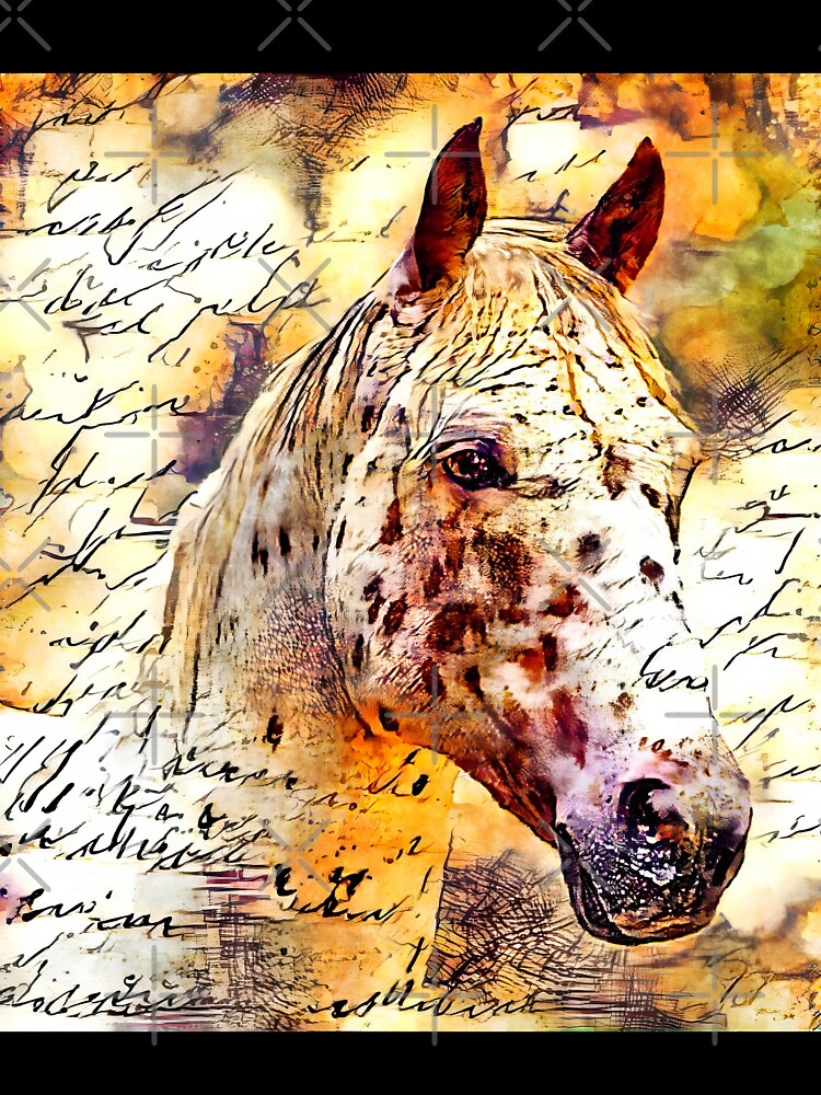Appaloosa horse close up portrait with vintage handwriting by NickoPrints