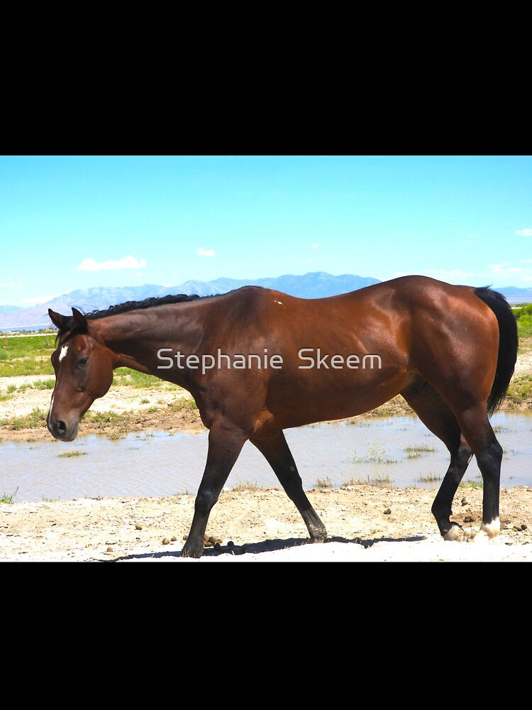 Red mustang and blue sky by Stephanie  Skeem